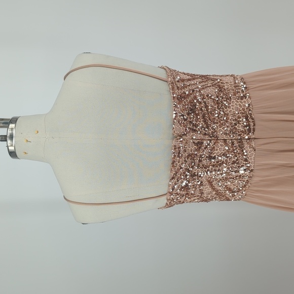 Cachet Sequin Pleated Mesh Maxi Dress Tan Rose Gold 6 evening formal wedding - Picture 4 of 8